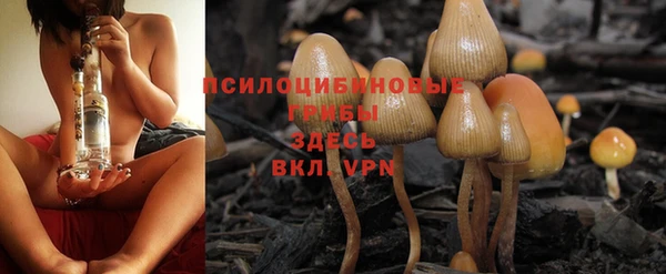 гидропоника Березники