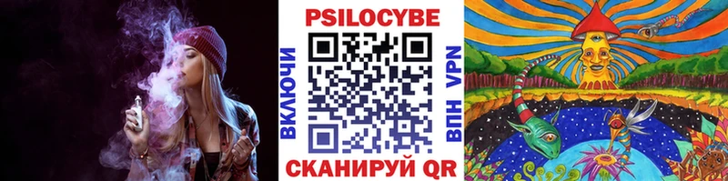 Галлюциногенные грибы Magic Shrooms Гаврилов Посад