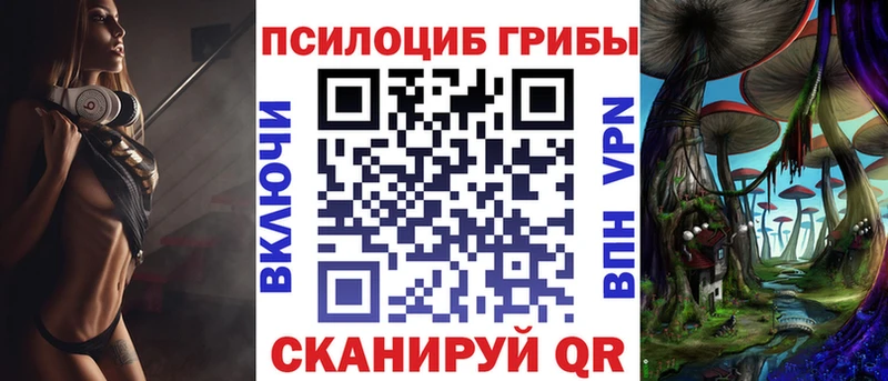 Псилоцибиновые грибы Psilocybe  Гаврилов Посад 